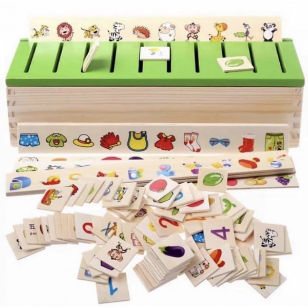 Montessori Sınıflandırma - Eşleştirme Kutusu