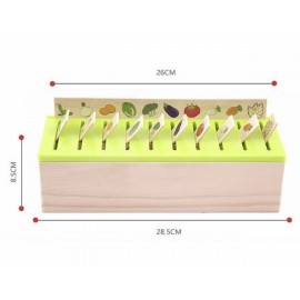 Montessori Sınıflandırma - Eşleştirme Kutusu