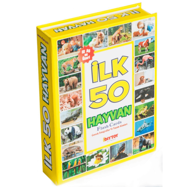 İlk 50 Hayvan Flash Kartları